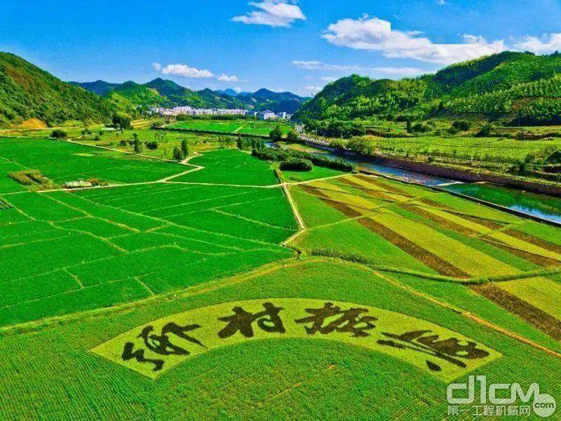 大力推进休闲旅游、电商等产业，以数字赋能乡村振兴