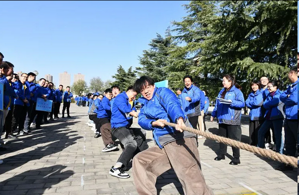 281764299858175731.png 图片.png